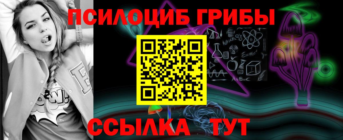 Псилоцибиновые грибы Psilocybe  Псилоцибиновые грибы Magic Shrooms  где найти наркотики  Вход с VPN  Королёв 